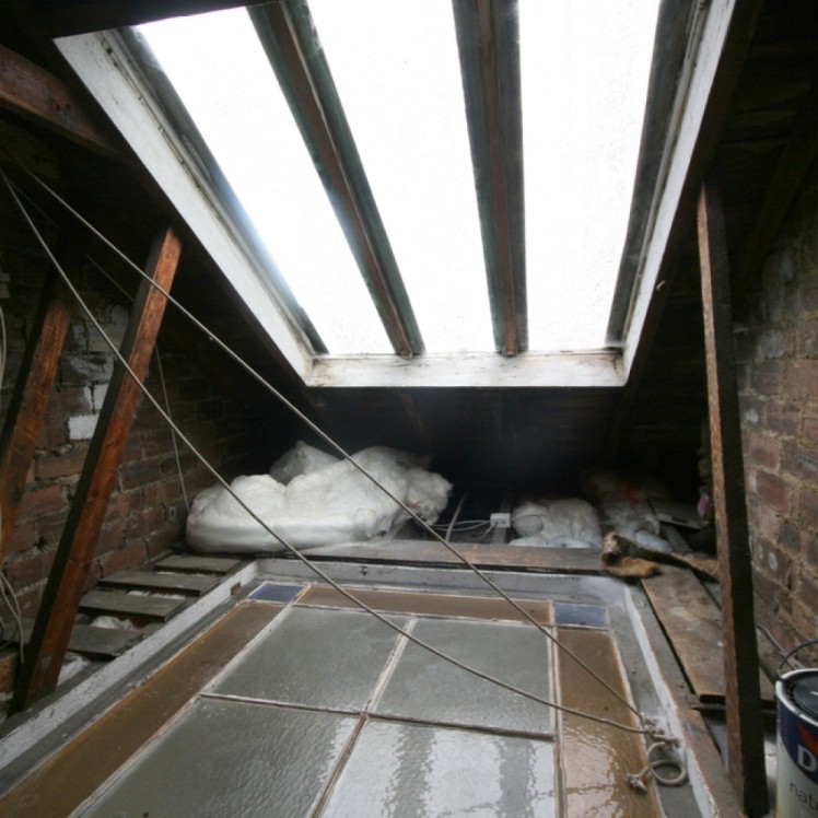 Before Extension